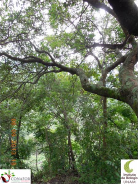 72834_S1_ARC_20130826_005_001.jpg.jpg