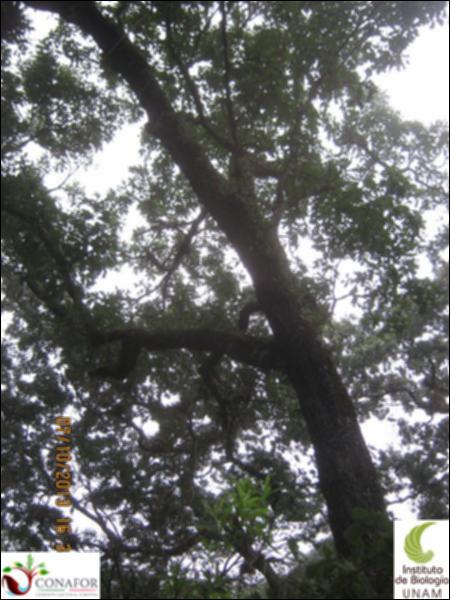 66080_S1_ARC_20131007_001_002.jpg.jpg