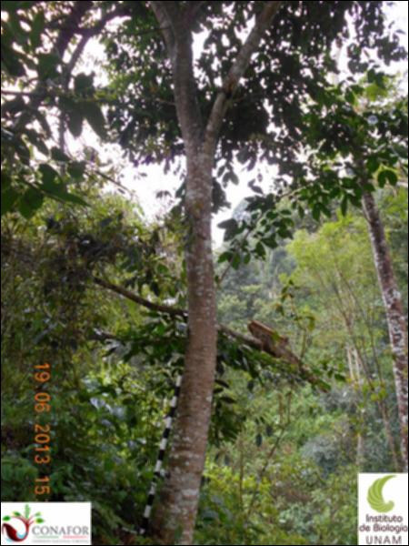 77510_S2_ARC_20130619_006_001.jpg.jpg