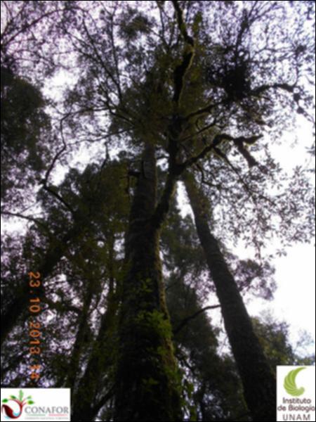 63094_S3_ARC_20131023_005_002.jpg.jpg