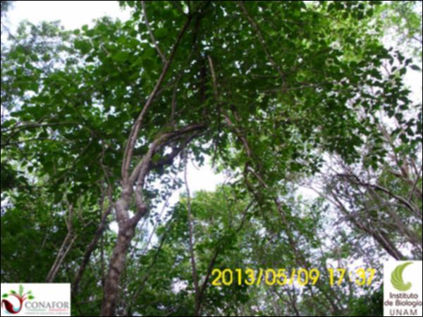 50473_S4_ARC_20130509_010_002.jpg.jpg