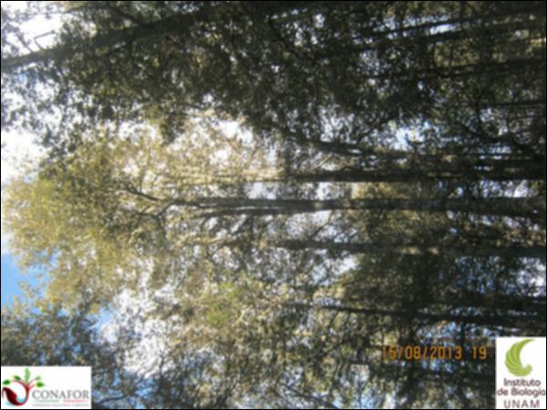37351_S4_ARC_20130815_003.jpg.jpg