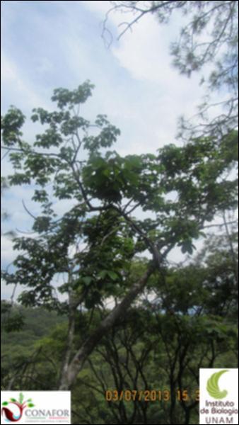 75531_S4_ARC_20130703_007_002.jpg.jpg