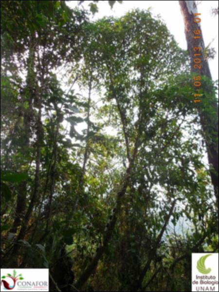 71435_S1_ARC_20130511_002_001.jpg.jpg