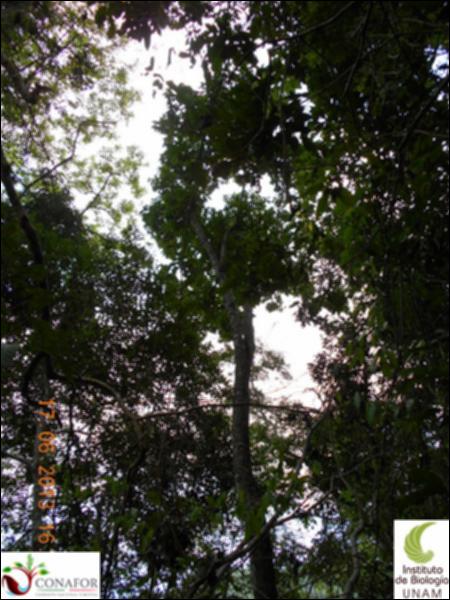 77446_S4_ARC_20130617_027_002.jpg.jpg