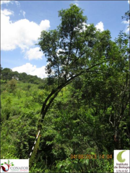 58488_S2_ARC_20130804_003.jpg.jpg