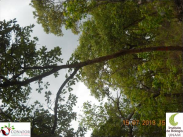 56693_S1_ARC_20130715_001.jpg.jpg