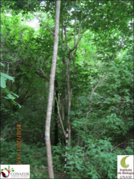 77672_S4_ARC_20130705_001_001.jpg.jpg