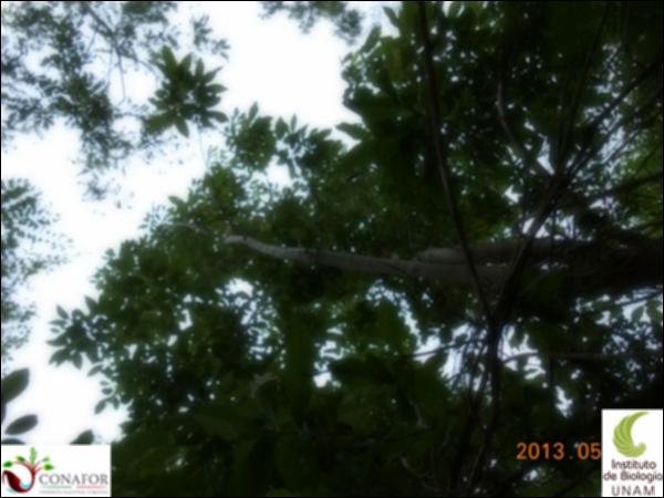 63205_S1_ARC_20130527_002_001.jpg.jpg