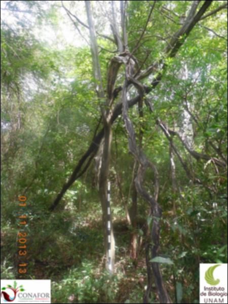 68540_S1_ARC_20131101_006_001.jpg.jpg