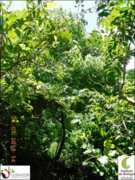 76399_S1_ARC_20130721_001_001.jpg.jpg