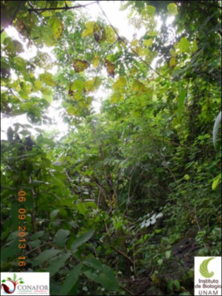 72834_S2_ARC_20130826_005_001.jpg.jpg
