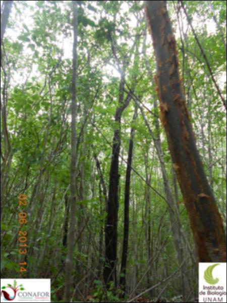 51895_S1_ARC_20130602_012_001.jpg.jpg