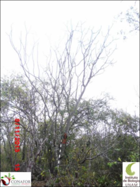 70522_S1_ARC_20131108_001_001.jpg.jpg
