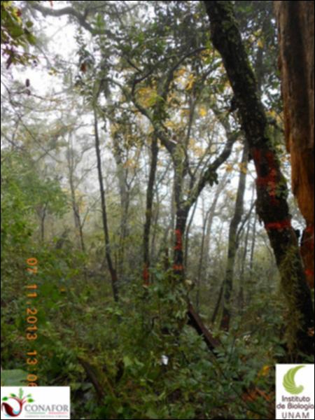 39382_S1_ARC_20131106_001.jpg.jpg