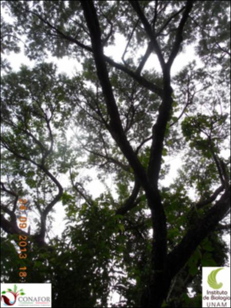 66090_S1_ARC_20130924_009_002.jpg.jpg