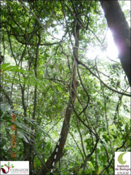 65274_S2_ARC_20130503_008_001.jpg.jpg