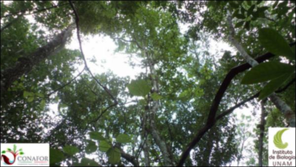 59419_S1_ARC_20130814_012_002.jpg.jpg