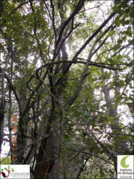 76969_S2_ARC_20130623_001_002.jpg.jpg