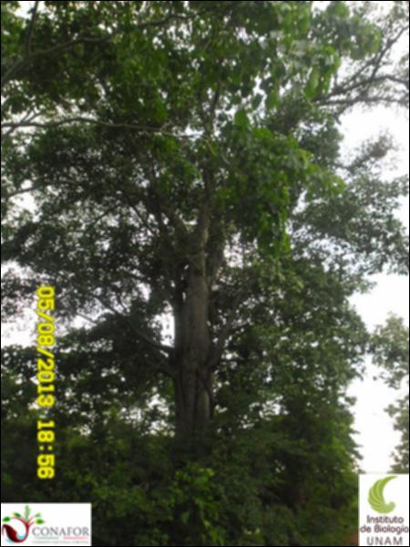 57697_S2_ARC_20130805_001.jpg.jpg
