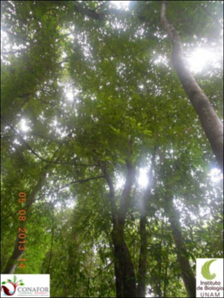 76829_S3_ARC_20130805_003_002.jpg.jpg