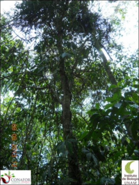 72102_S1_ARC_20130507_021_002.jpg.jpg