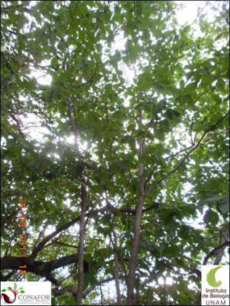 66090_S1_ARC_20130924_005_002.jpg.jpg