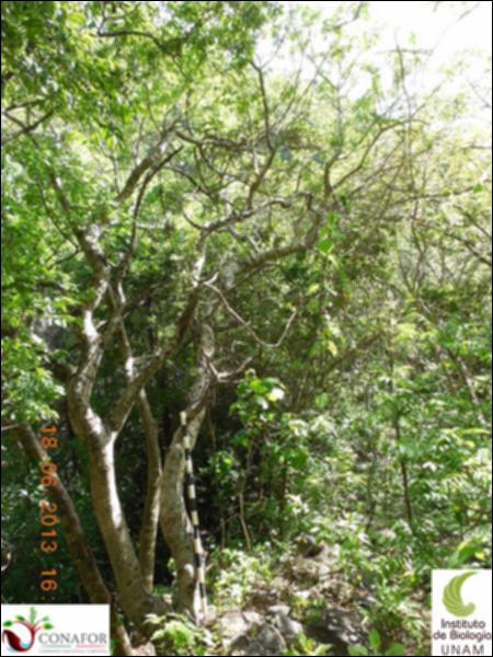 76600_S2_ARC_20130618_026_001.jpg.jpg