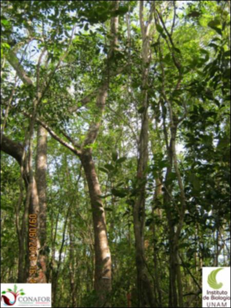 51194_S1_ARC_20130609_023_001.jpg.jpg