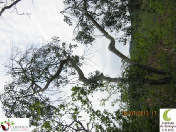66904_S1_ARC_20130708_028.jpg.jpg