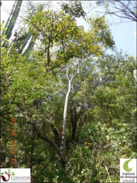 67567_S1_ARC_20131003_009_001.jpg.jpg