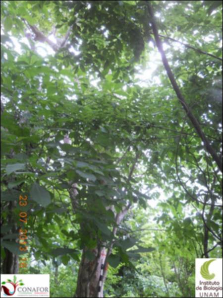 76824_S1_ARC_20130723_008_001.jpg.jpg