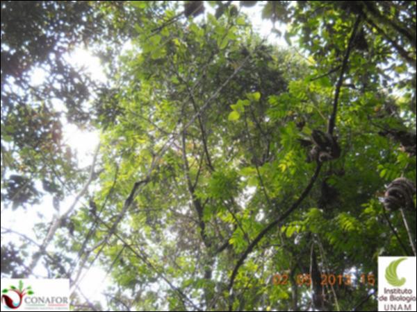 64990_S2_ARC_20130501_020_002.jpg.jpg