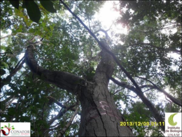 57150_S3_ARC_20131203_047_001.jpg.jpg