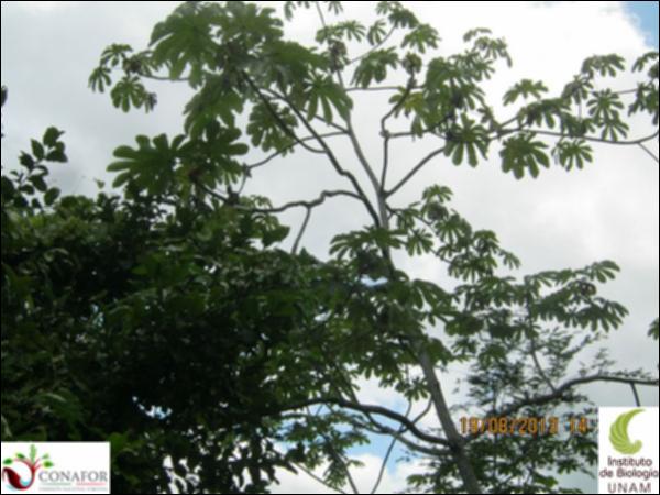 77262_S1_ARC_20130818_006_002.jpg.jpg