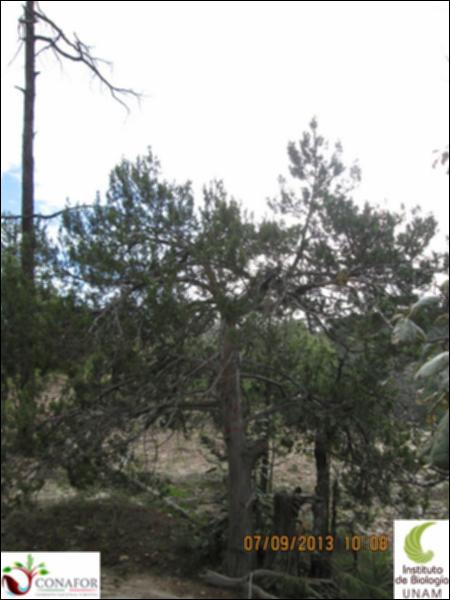 19535_S1_ARC_30130907_003.jpg.jpg