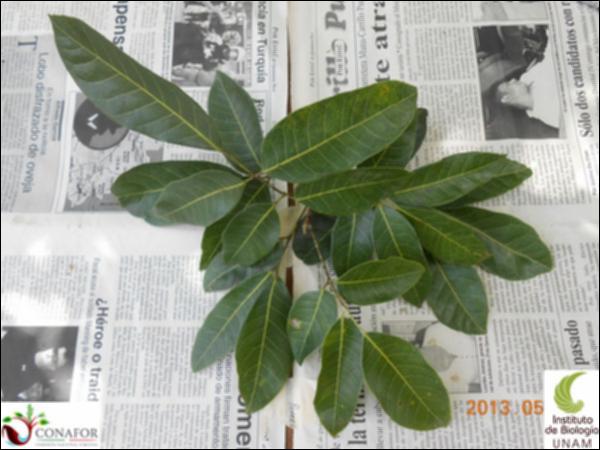 63498_S2_HJ1_20130513_008_001.jpg.jpg