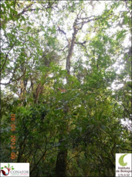 70073_S1_ARC_20130506_030_002.jpg.jpg