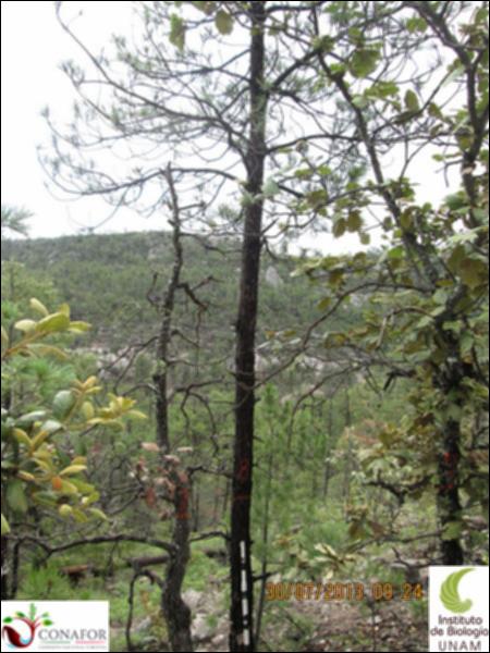 19798_S1_ARC_20130730_007.jpg.jpg