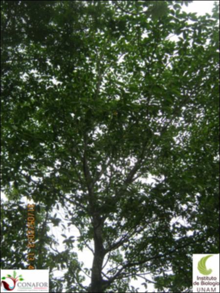 72326_S1_ARC_20130531_003_002.jpg.jpg