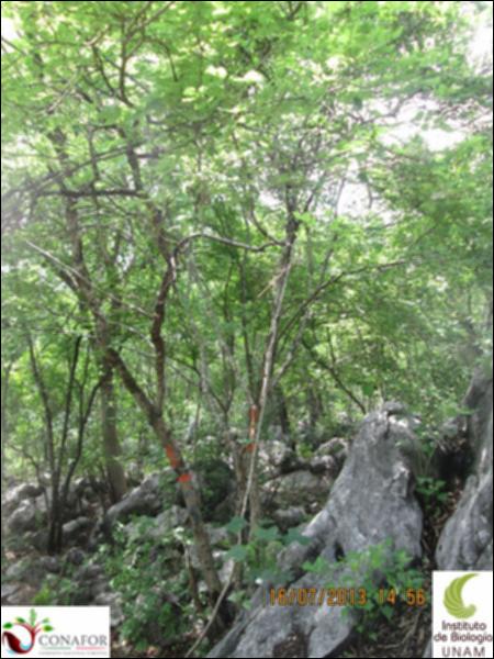44264_S2_ARC_20130716_001.jpg.jpg