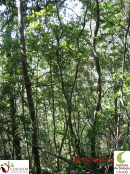 49507_S1_ARC_20130605_021.jpg.jpg