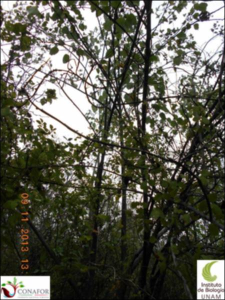 71410_S1_ARC_20131109_006_002.jpg.jpg