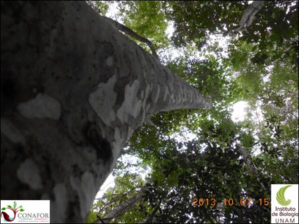 54479_S4_ARC_20131007_014_001.jpg.jpg