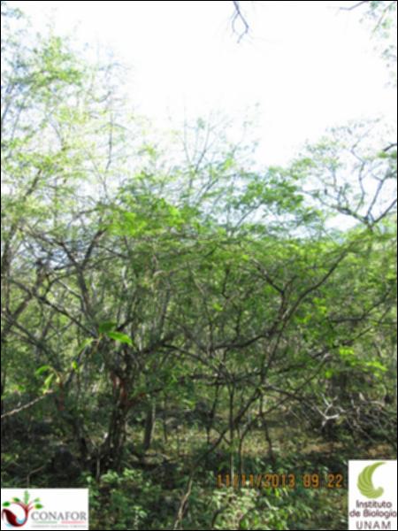 35104_S1_ARC_20131111_024.jpg.jpg