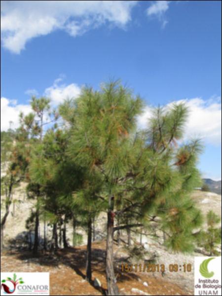 19279_S1_ARC_20131115_001.jpg.jpg