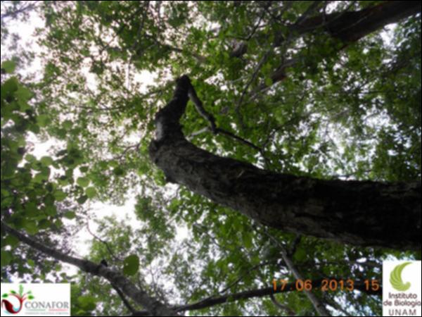 51199_S3_ARC_20130614_023_001.jpg.jpg