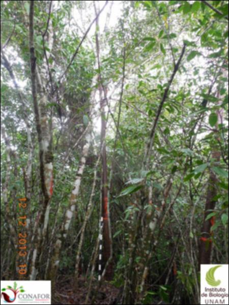 71681_S1_ARC_20131212_018_001.jpg.jpg