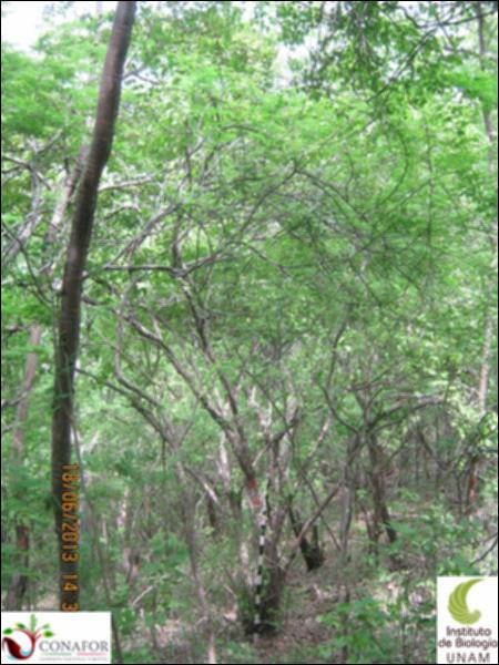 76284_S2_ARC_20130618_003_001.jpg.jpg