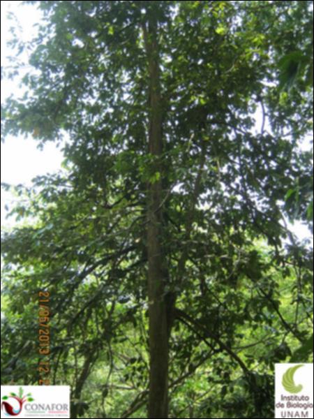 74186_S1_ARC_20130521_002_002.jpg.jpg
